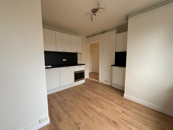 WhatsApp Image 2026-02-03 at 14.24.32 (13).jpeg